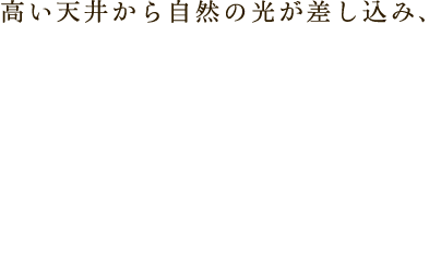 高い天井から自然の光が差し込み、